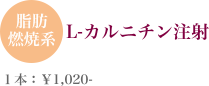 L-˥ ܡ\1,020- 